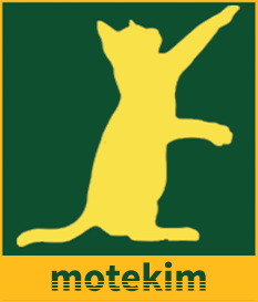 mote.kim logo