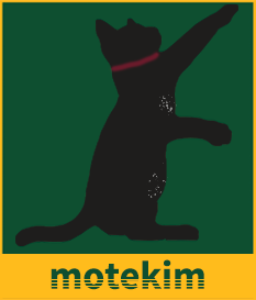 mote.kim logo